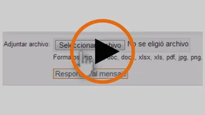 Cmo anexar un archivo a la respuesta de una pregunta